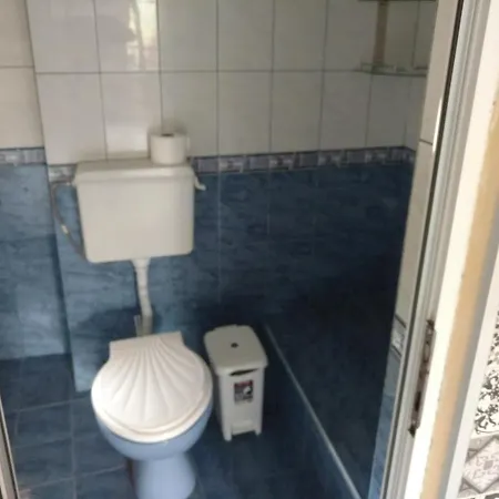 Pensiune Вила Любляна Velingrad
